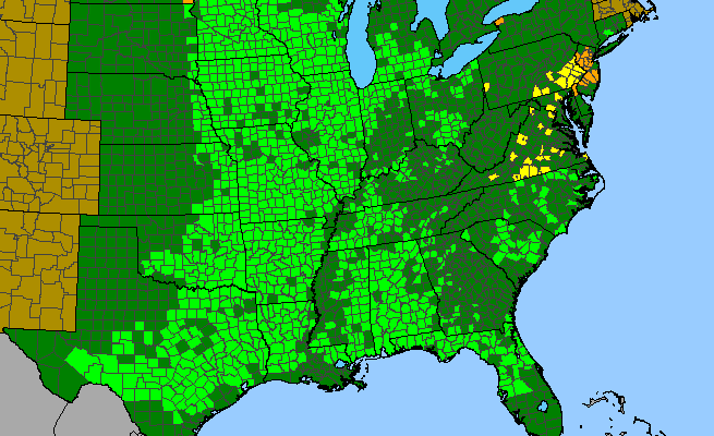 The range of Phlox pilosa